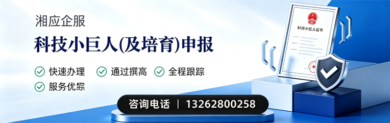 吉林科技小巨人及培育企业申报服务