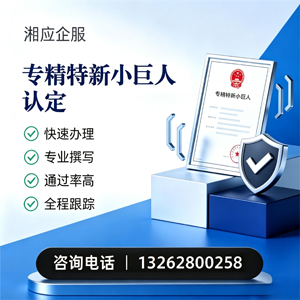吉林专精特新小巨人申报服务