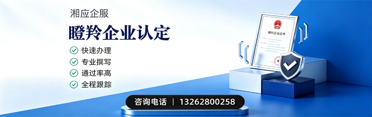 吉林瞪羚企业认定申报服务