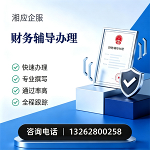吉林财务辅导申请服务