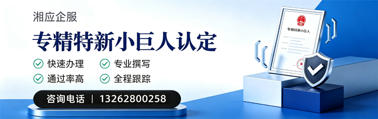 吉林专精特新小巨人申报服务